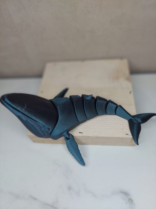 Flexi Walvis
