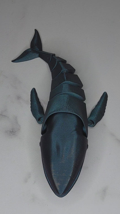 Flexi Walvis