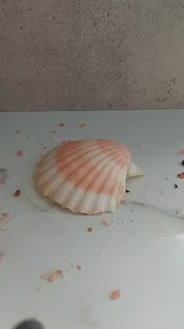 Dikke Armringen